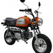 SkyTeam Motorrad Gorilla 50 in Farbe Orange