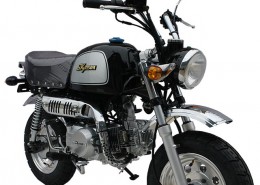 SkyTeam Motorrad Gorilla 50 in Farbe Schwarz
