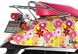 Tauris Roller Capri 50 / 2T Art Collection Detailansicht hinten