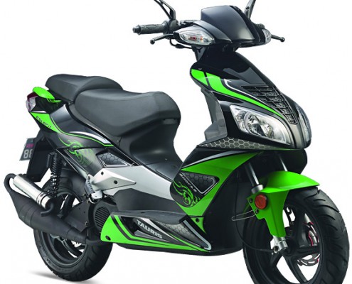 Tauris Roller Estoril 50 / 2T in Farbe Grün