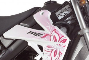Rieju Motorrad MRT Lite Cross 50 Detailansicht Logo