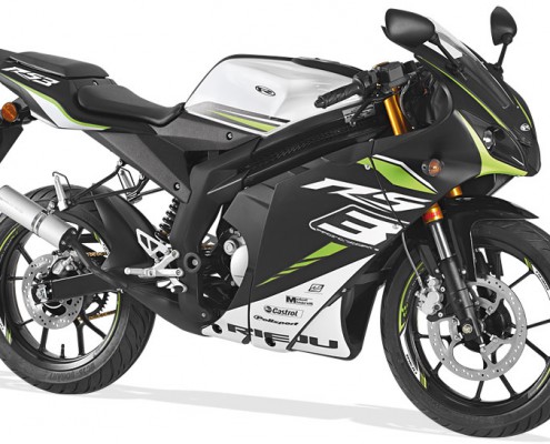Rieju Motorrad RS3 50 in Farbe Fluor