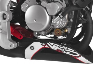 Rieju Motorrad RS3 NKD 50 Detailansicht seite