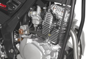 Rieju Motorrad Tangoo! 125 Detailansicht Motor