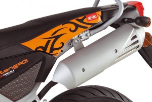 Rieju Motorrad Tangoo! 50 Detailansicht Auspuff