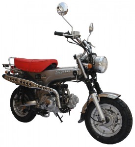 SkyTeam Motorrad Skymax 50 in Farbe Silber