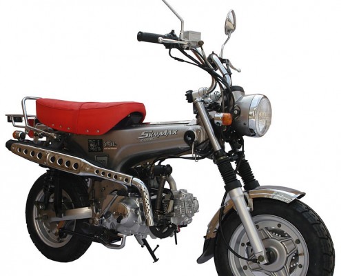 SkyTeam Motorrad Skymax 50 in Farbe Silber
