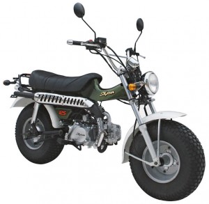 SkyTeam Motorrad T-Rex 125 in Farbe Grün