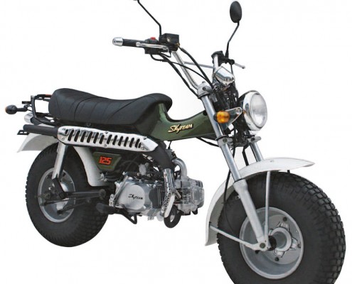 SkyTeam Motorrad T-Rex 125 in Farbe Grün